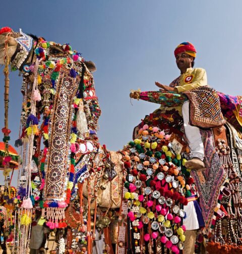 Pushkar Fair