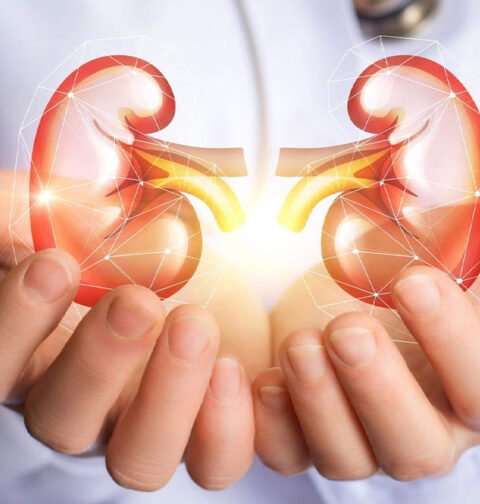 Kidney Health