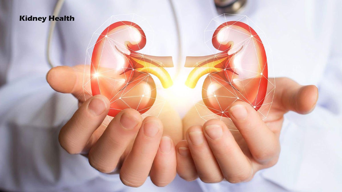 Kidney Health