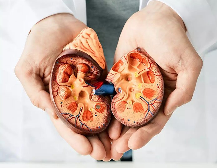 Kidney-Care