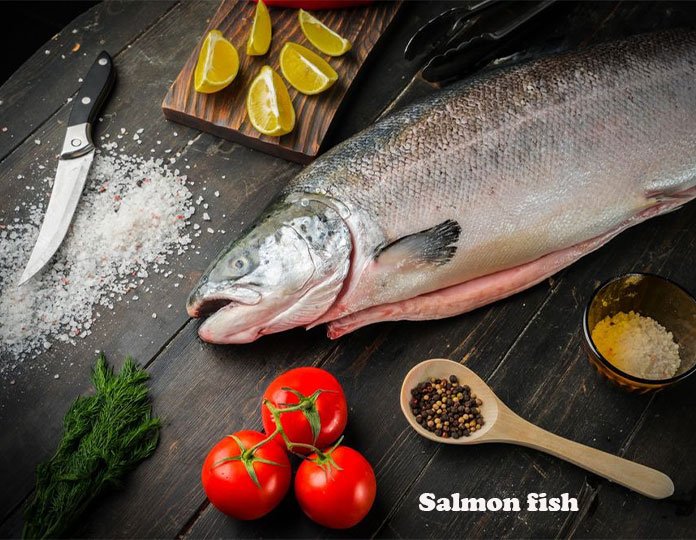 Salmon-fish